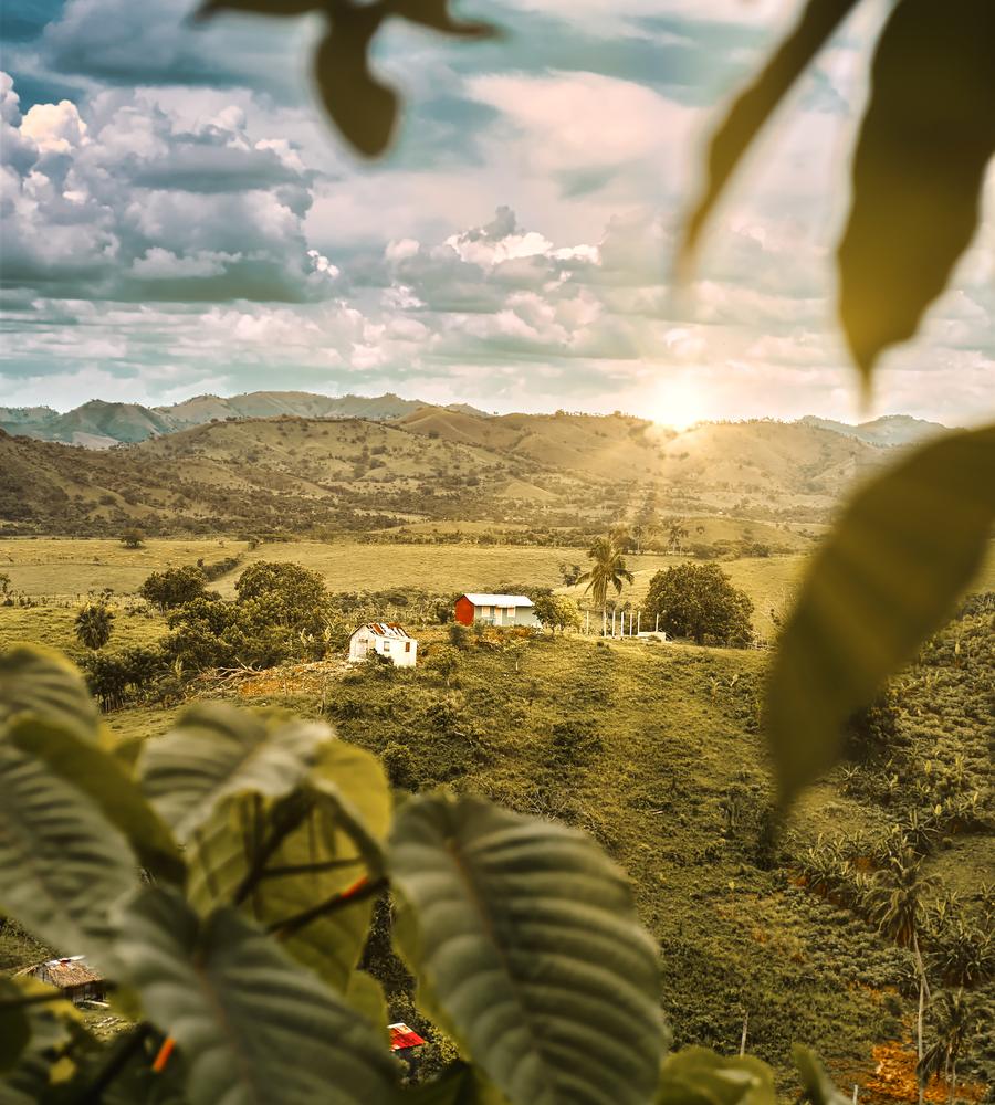 Casa sede e área de vivência em propriedade rural